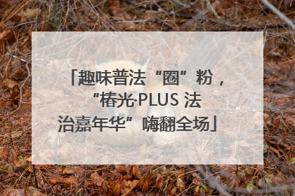 趣味普法“圈”粉，“椿光·PLUS 法治嘉年华”嗨翻全场