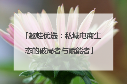 趣蛙优选：私域电商生态的破局者与赋能者