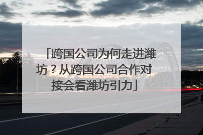 跨国公司为何走进潍坊？从跨国公司合作对接会看潍坊引力