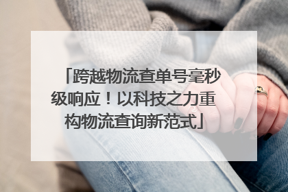 跨越物流查单号毫秒级响应！以科技之力重构物流查询新范式
