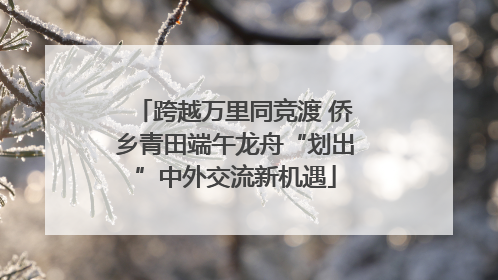 跨越万里同竞渡 侨乡青田端午龙舟“划出”中外交流新机遇