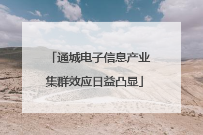 通城电子信息产业集群效应日益凸显