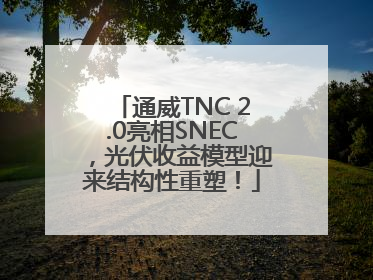 通威TNC 2.0亮相SNEC，光伏收益模型迎来结构性重塑！