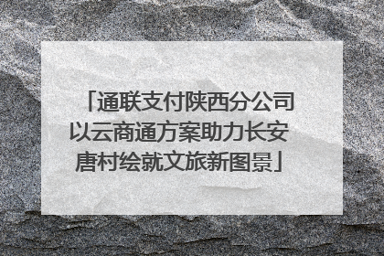 通联支付陕西分公司以云商通方案助力长安唐村绘就文旅新图景