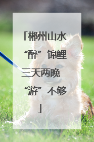 郴州山水“醉”锦鲤 三天两晚“游”不够