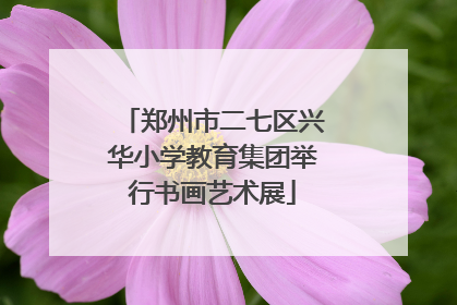 郑州市二七区兴华小学教育集团举行书画艺术展