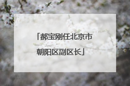 郝宝刚任北京市朝阳区副区长