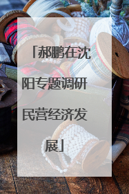 郝鹏在沈阳专题调研民营经济发展