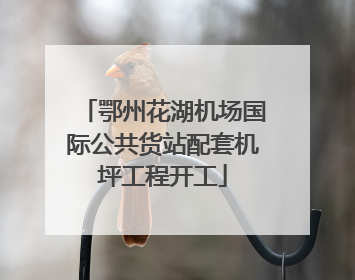 鄂州花湖机场国际公共货站配套机坪工程开工