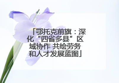 鄂托克前旗：深化“四省多县”区域协作 共绘劳务和人才发展蓝图