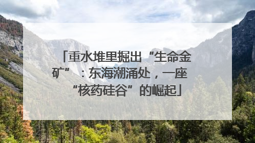 重水堆里掘出“生命金矿”：东海潮涌处，一座“核药硅谷”的崛起
