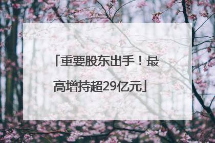 重要股东出手！最高增持超29亿元