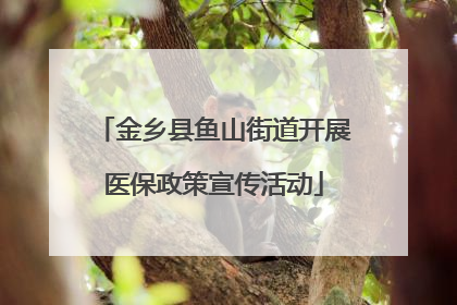 金乡县鱼山街道开展医保政策宣传活动