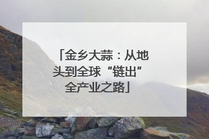 金乡大蒜：从地头到全球“链出”全产业之路