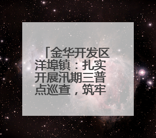 金华开发区洋埠镇：扎实开展汛期三普点巡查，筑牢安全生产防线