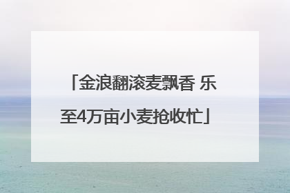 金浪翻滚麦飘香 乐至4万亩小麦抢收忙