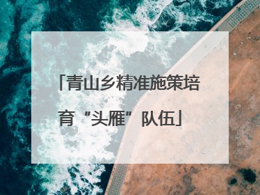 青山乡精准施策培育“头雁”队伍