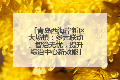 青岛西海岸新区大场镇：多元联动、智治无忧，提升综治中心新效能