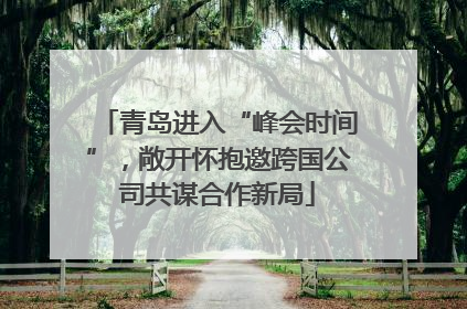 青岛进入“峰会时间”，敞开怀抱邀跨国公司共谋合作新局