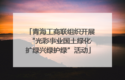青海工商联组织开展“光彩事业国土绿化·扩绿兴绿护绿”活动