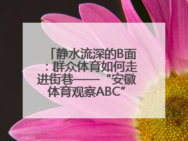 静水流深的B面：群众体育如何走进街巷——“安徽体育观察ABC”系列报道之二