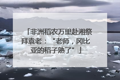非洲稻农万里赴湘祭拜袁老：“老师，冈比亚的稻子熟了”