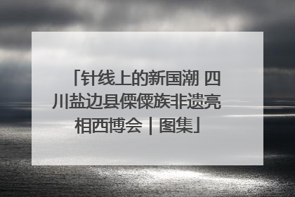 针线上的新国潮 四川盐边县傈僳族非遗亮相西博会｜图集