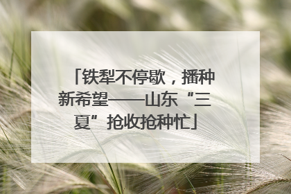 铁犁不停歇，播种新希望——山东“三夏”抢收抢种忙