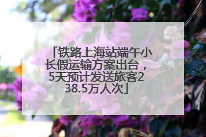 铁路上海站端午小长假运输方案出台，5天预计发送旅客238.5万人次