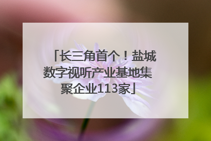 长三角首个！盐城数字视听产业基地集聚企业113家