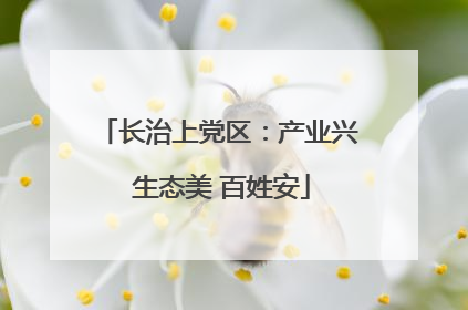 长治上党区：产业兴 生态美 百姓安