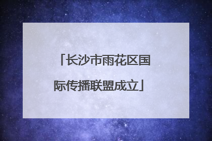 长沙市雨花区国际传播联盟成立