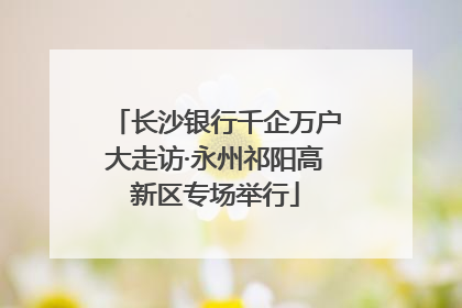 长沙银行千企万户大走访·永州祁阳高新区专场举行