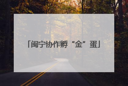 闽宁协作孵“金”蛋
