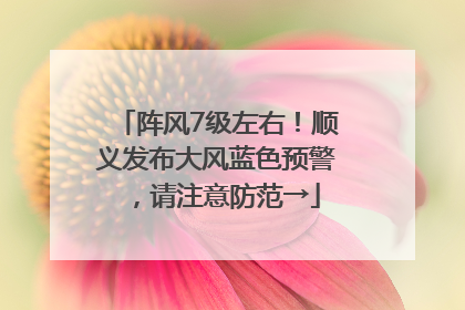 阵风7级左右！顺义发布大风蓝色预警，请注意防范→