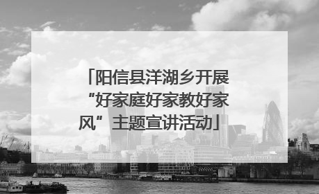 阳信县洋湖乡开展“好家庭好家教好家风”主题宣讲活动