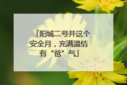 阳城二号井这个安全月，充满温情有“爸”气
