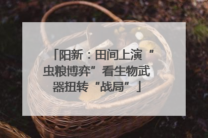阳新：田间上演“虫粮博弈”看生物武器扭转“战局”