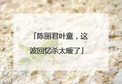 陈丽君叶童，这波回忆杀太暖了