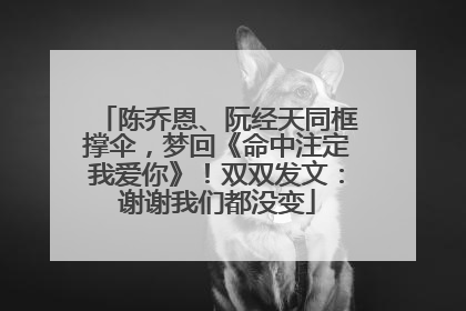 陈乔恩、阮经天同框撑伞，梦回《命中注定我爱你》！双双发文：谢谢我们都没变