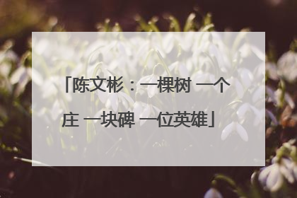 陈文彬：一棵树 一个庄 一块碑 一位英雄
