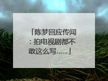 陈梦回应传闻：拍电视剧都不敢这么写……