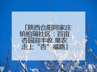陕西合阳同家庄镇柏瑞社区：百亩杏园迎丰收 果农走上“杏”福路