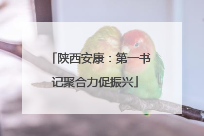 陕西安康：第一书记聚合力促振兴