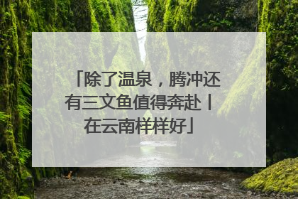 除了温泉，腾冲还有三文鱼值得奔赴丨在云南样样好