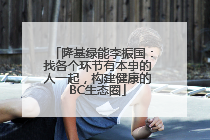 隆基绿能李振国：找各个环节有本事的人一起，构建健康的BC生态圈