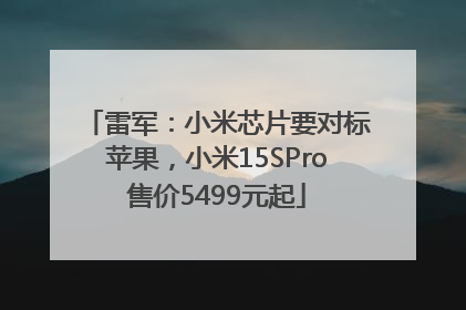 雷军：小米芯片要对标苹果，小米15SPro售价5499元起