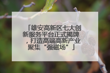 雄安高新区七大创新服务平台正式揭牌，打造高端高新产业聚集“强磁场”