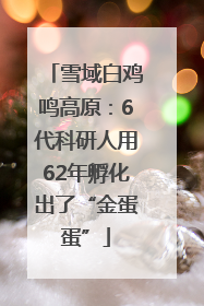 雪域白鸡鸣高原：6代科研人用62年孵化出了“金蛋蛋”