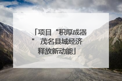 项目“积厚成器” 茂名县域经济释放新动能
